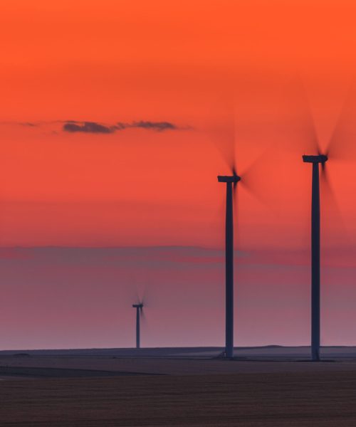 wind power turbines on a hill in sunset. Dobrogea Romania